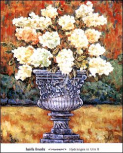 Hydrangea in Urn II