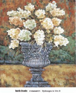 Hydrangea In Urn II