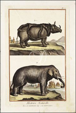 L'Elephant & Le Rhinoceros