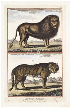 Le Lion & Le Tigre