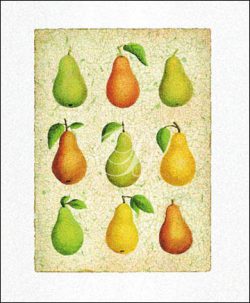 Pear Collage