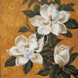 Magnolia II