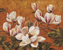 Magnolia Fantasy II