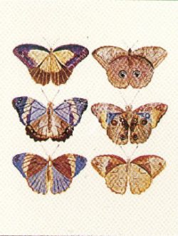 Butterfly Panel II