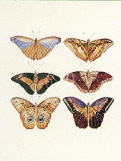 Butterfly Panel I