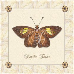 Papilio Thrax