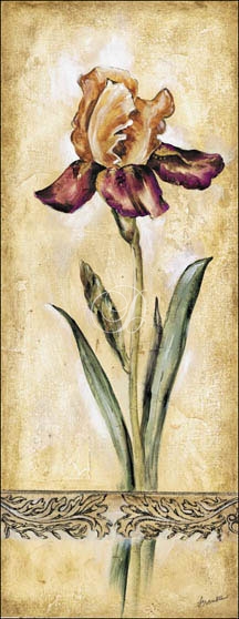 Elegant Iris I