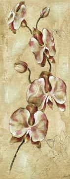 Tropical Orchid II