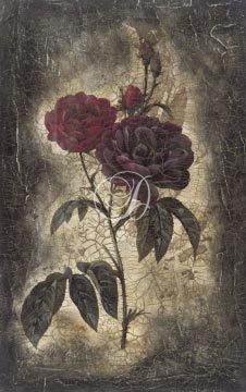 Vintage Rose I