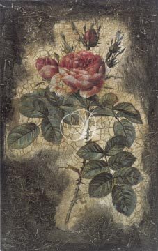 Vintage Rose III (sm)