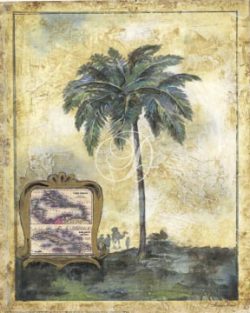 Tropical Antiquity II