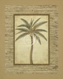 Date Palm