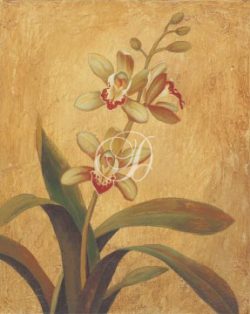 Orchid In Landscape I