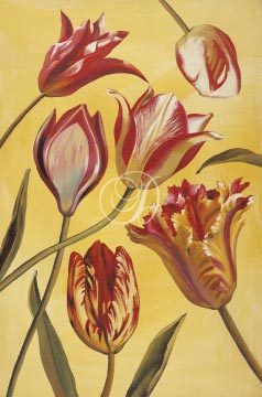 Parrot Tulips I