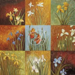 Iris Fields I