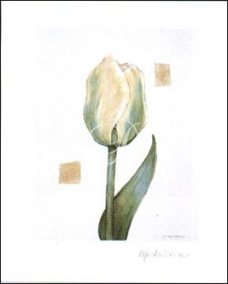 Tulip I