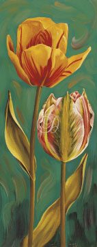 Parrot Tulips II