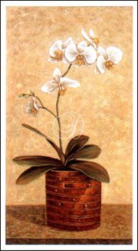 Orchid In Wicker Basket II