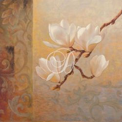 Asian Magnolias I