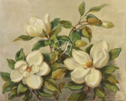 Magnolia