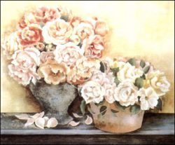 Roses in Terra Cotta Pots