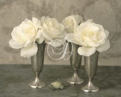 White Roses In Bud Vase II