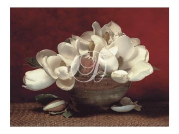 Asian Magnolias In Bowls I