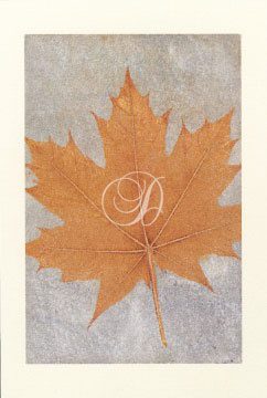 Oak Leaf I